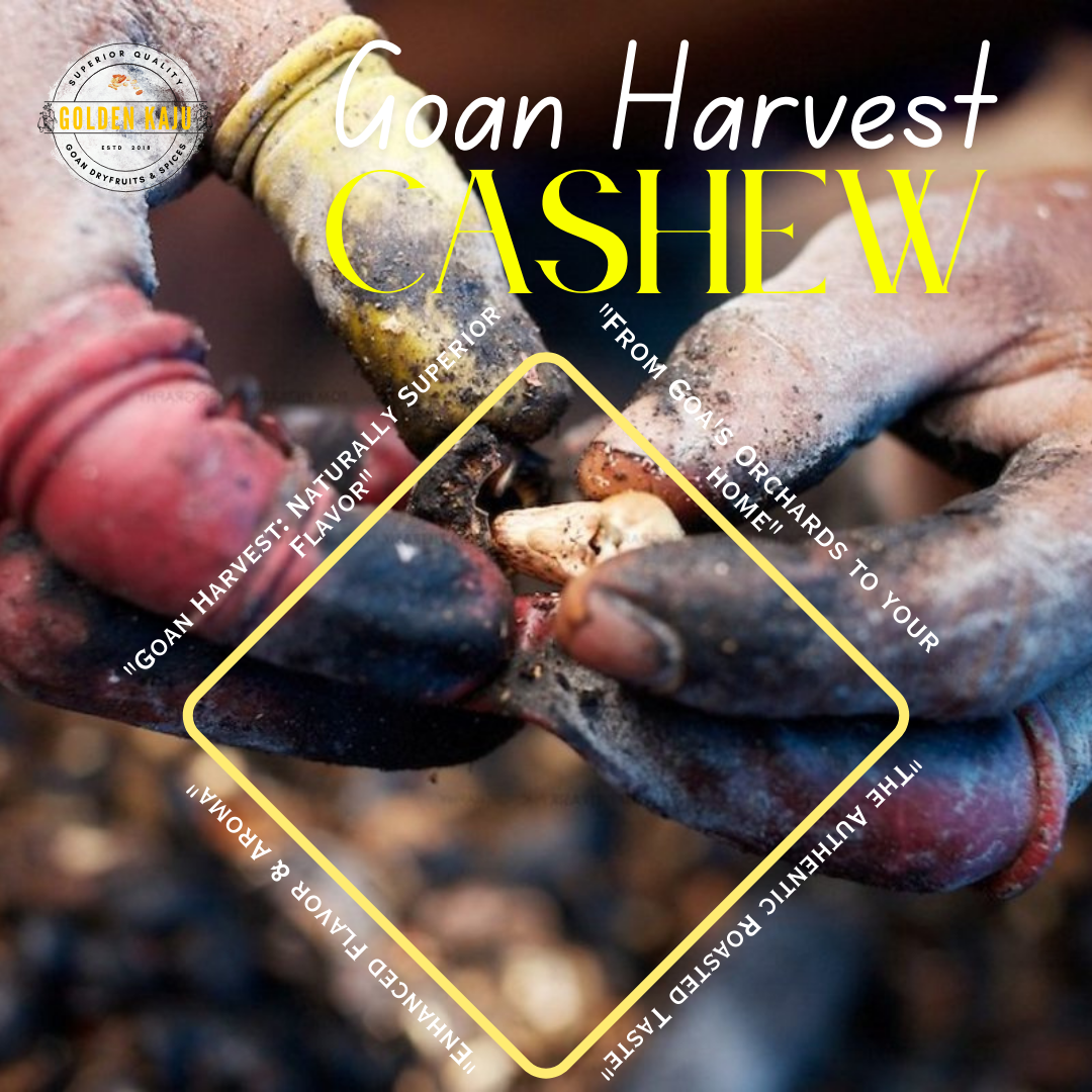 Goan Harvest Drum Roasted Cashews with Skin - Naturally Nutritious : Regular Size