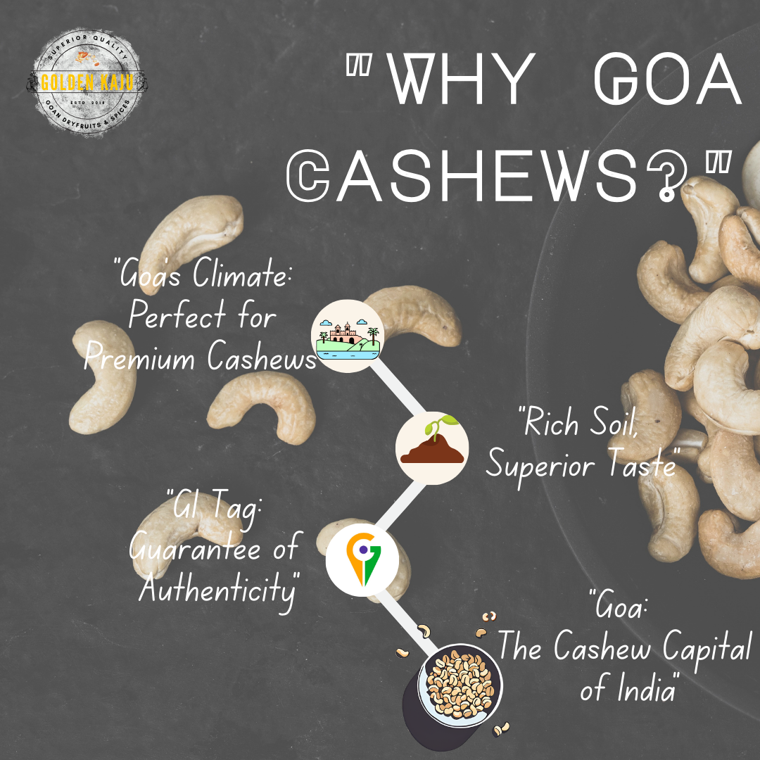 Goan Harvest Bold Sized cashew : W240 Premium Quality