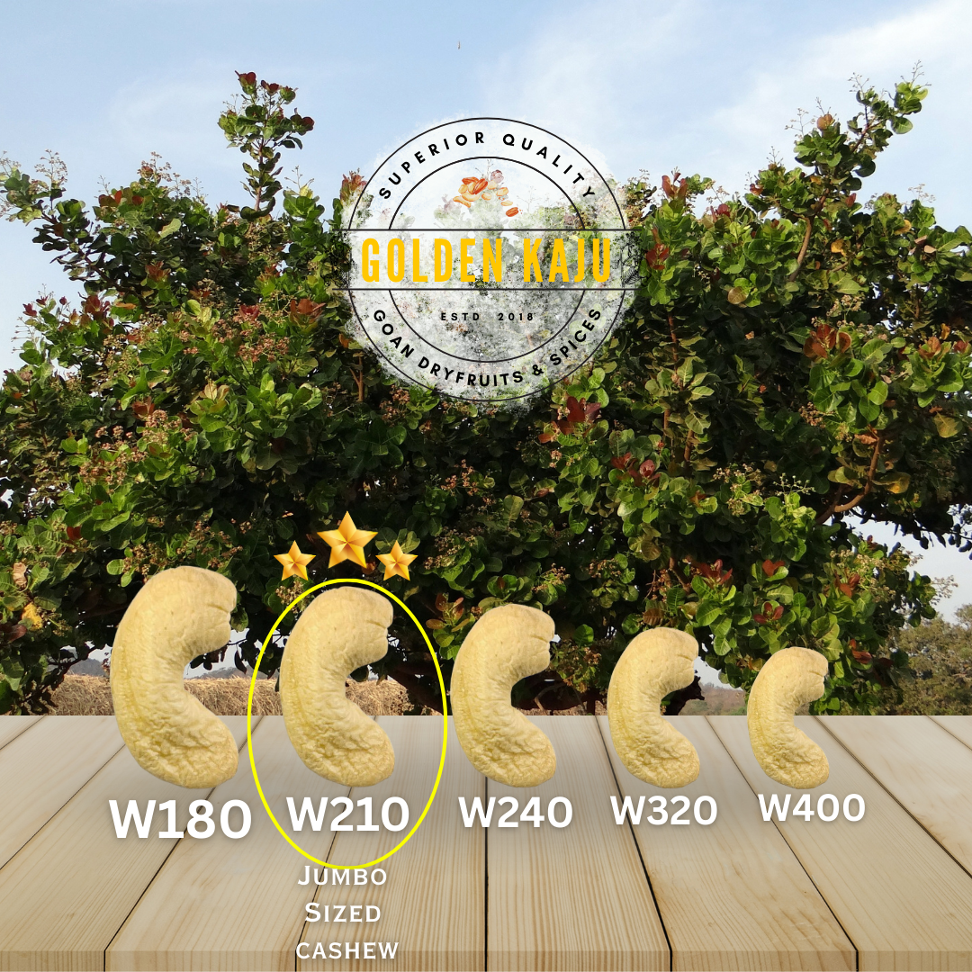 W210: Goan harvest Jumbo Size Cashews