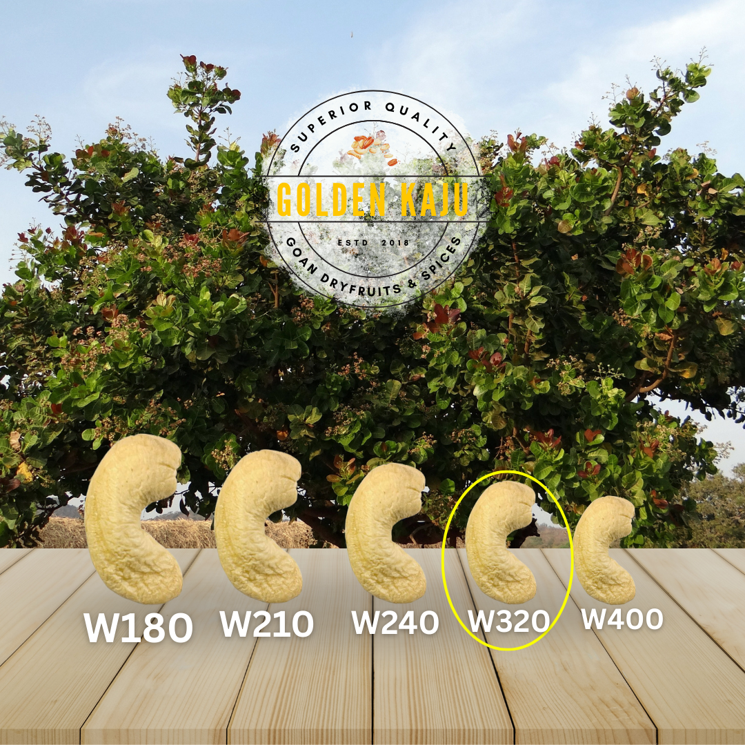 Goan Harvest W320 Cashews - Regular Size, Premium Goan Flavor