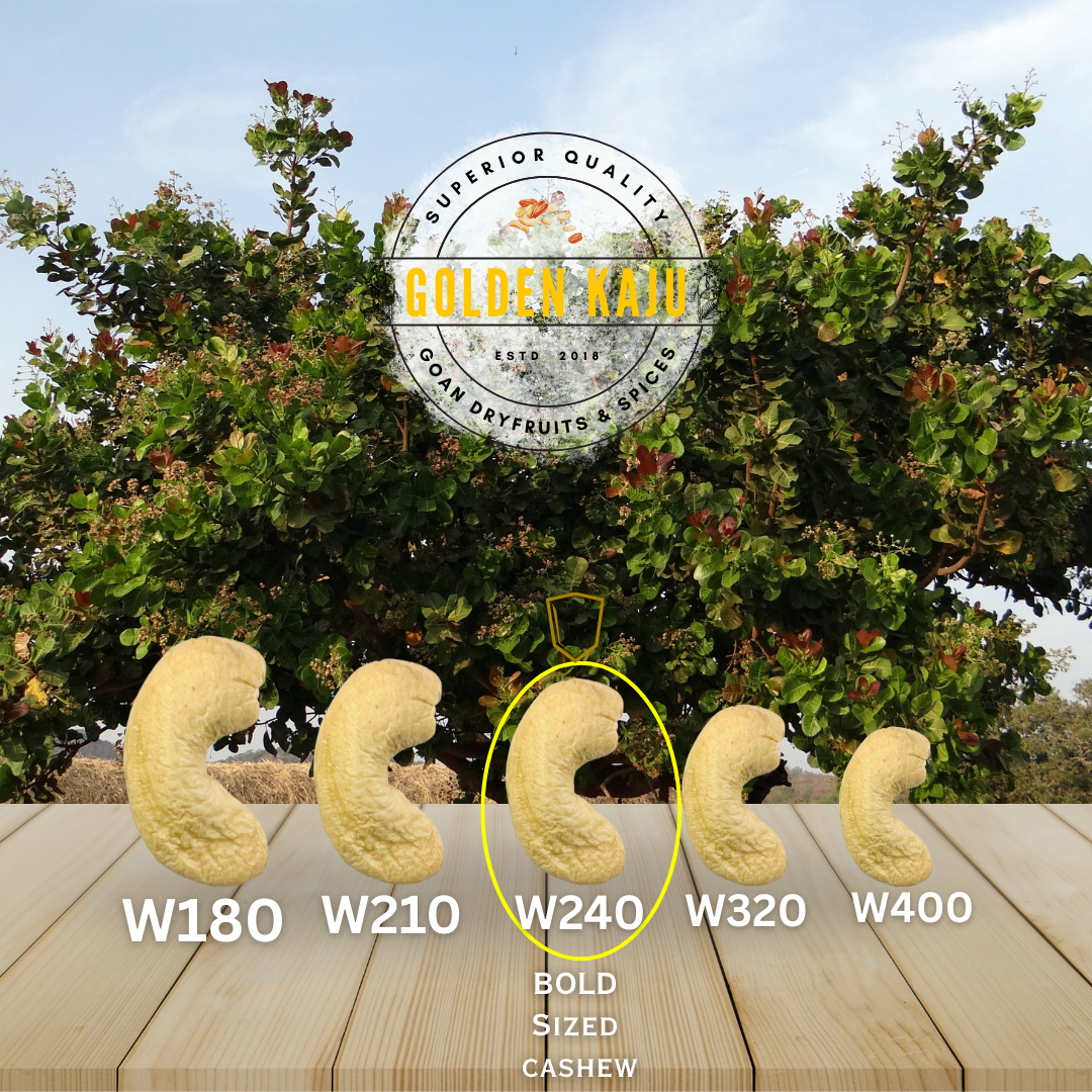 Goan Harvest Bold Sized cashew : W240 Premium Quality